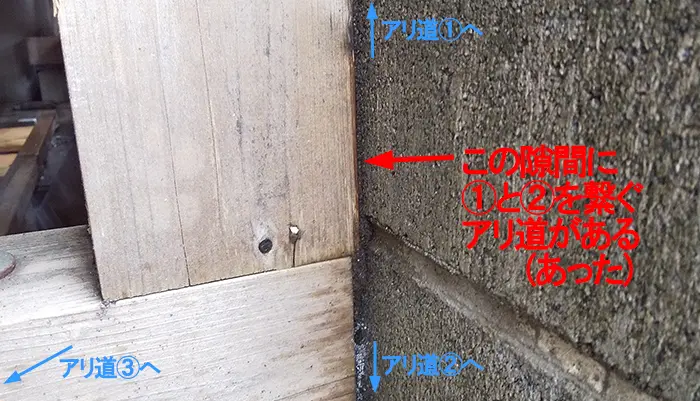 柱の表側(西面)の様子を撮影した解説コメント入り写真画像
※シロアリの巣の見直し分析＆検証画像3