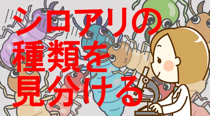 投稿7522のアイキャッチ