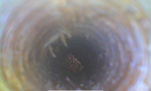シロアリ被害箇所直上の土台に穿孔した穴の内部を撮影した写真画像