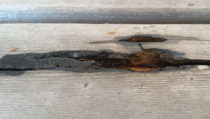 木材腐朽菌によるものと思われる1Fウッドデッキ床板材の劣化部を撮影した写真画像2