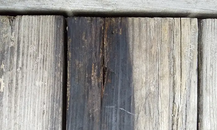 前写真(床下地)の上に普段置かれている床板の、木材腐朽菌に当たる軟腐朽と思われる黒い腐朽を撮影した写真画像