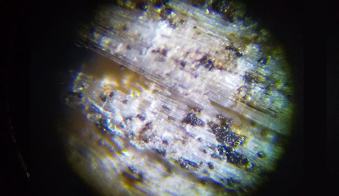 アシナガ蜂の巣と関係ありそうな桧(ヒノキ)表皮の破片を撮影した写真画像01
（2Fウッドデッキを支える1F柱より採取）