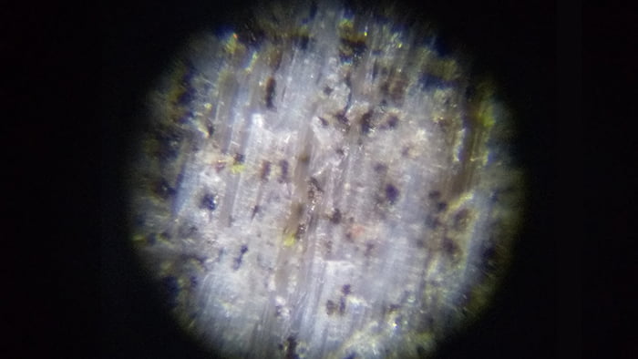アシナガ蜂の巣と関係ありそうな桧(ヒノキ)表皮の破片を撮影した写真画像02
（2Fウッドデッキを支える1F柱より採取）
