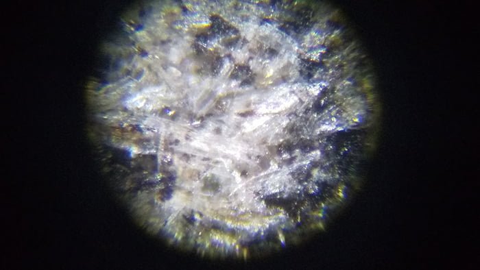 250倍に拡大した2020年アシナガバチの巣の破片を撮影した写真画像04
