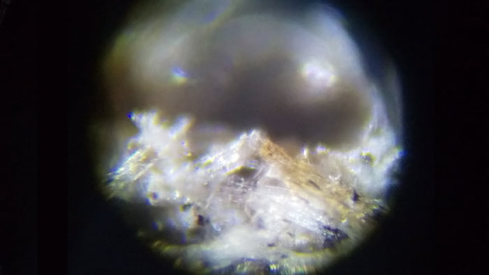 250倍に拡大した2021年アシナガ蜂の巣①の破片を撮影した写真画像02
(1Fウッドデッキ脇1ｍ付近で採取)