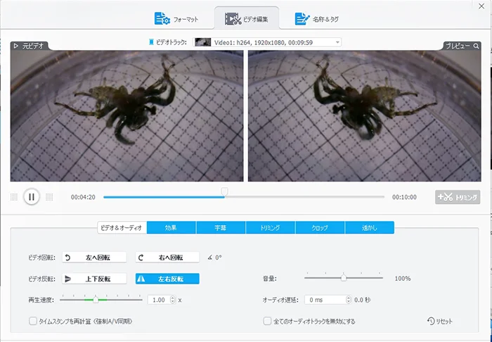 VideoProc体験版の動画編集画面例3（左右反転）画面のスクリーンショット画像
※VideoProcの体験版と製品版の違い解説用画像8