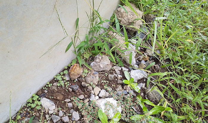 筆者の建売マイホームの庭から出てきた石処分せずに放置している石ころとガラを撮影した写真画像1